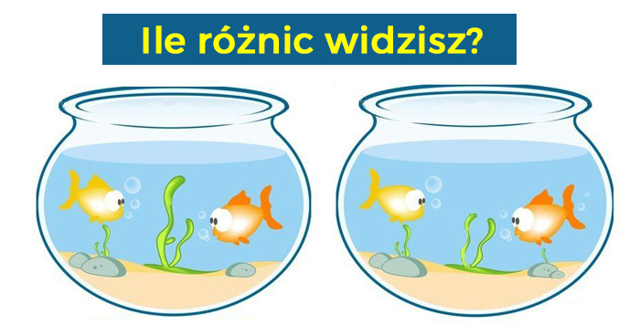 ile-roznic-widzisz-w-akwarium